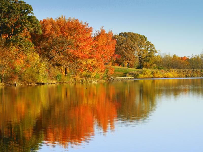 Carterville Houses for Sale